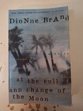 Dionne Brand novel